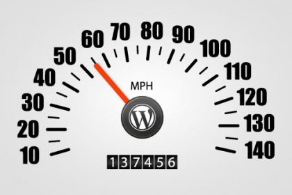 otimizandowordpress